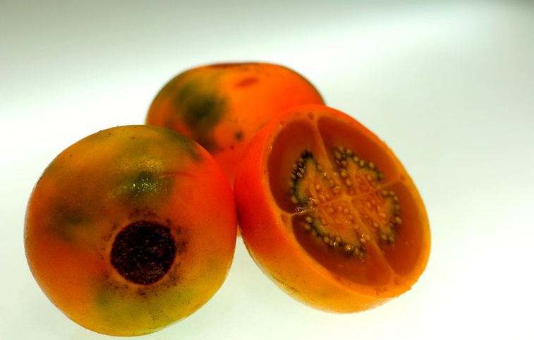 Naranjilla como antioxidante y sus propiedades anti-edad
